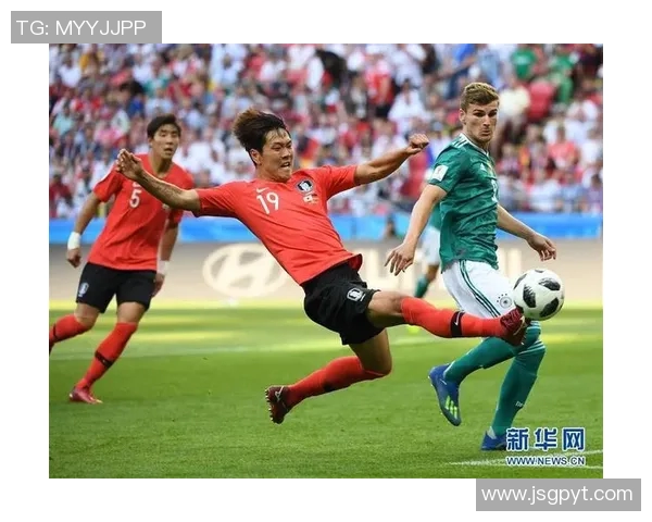 广州篮球队在世界杯预选赛中的团队协作表现分析与点评